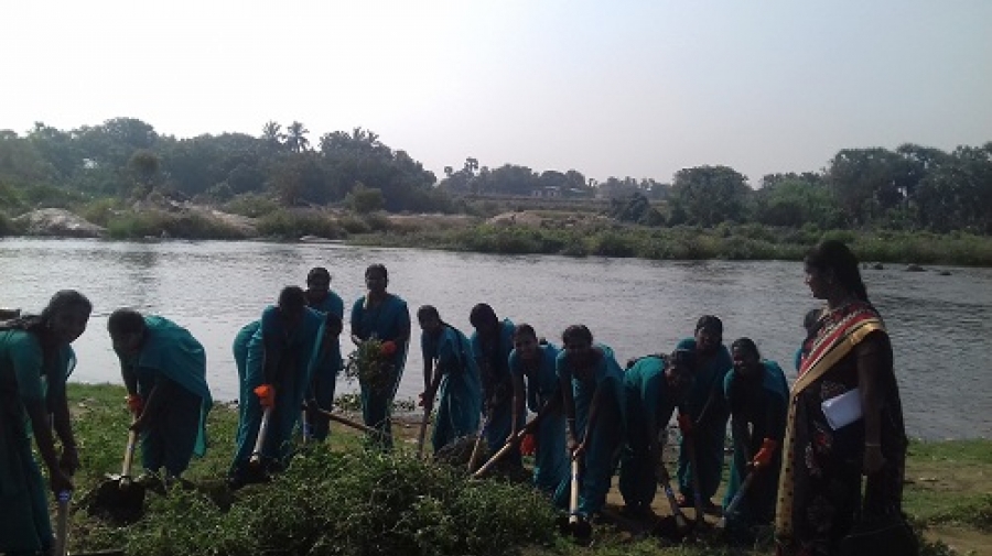Extension Activity-Thamarabarani River Cleaning(Arugankulam)